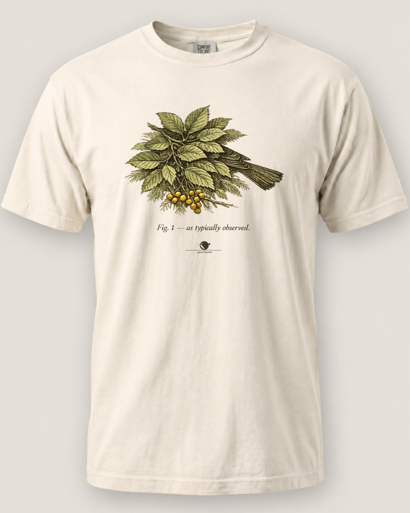 As Typically Observed Tee