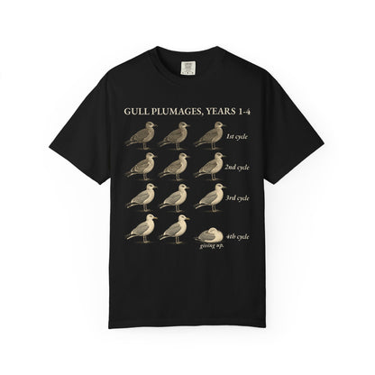 Gull Plumages Tee