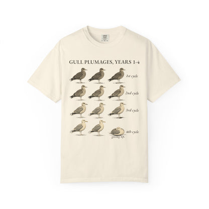 Gull Plumages Tee