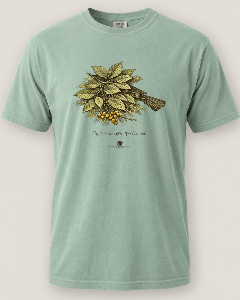 As Typically Observed Tee