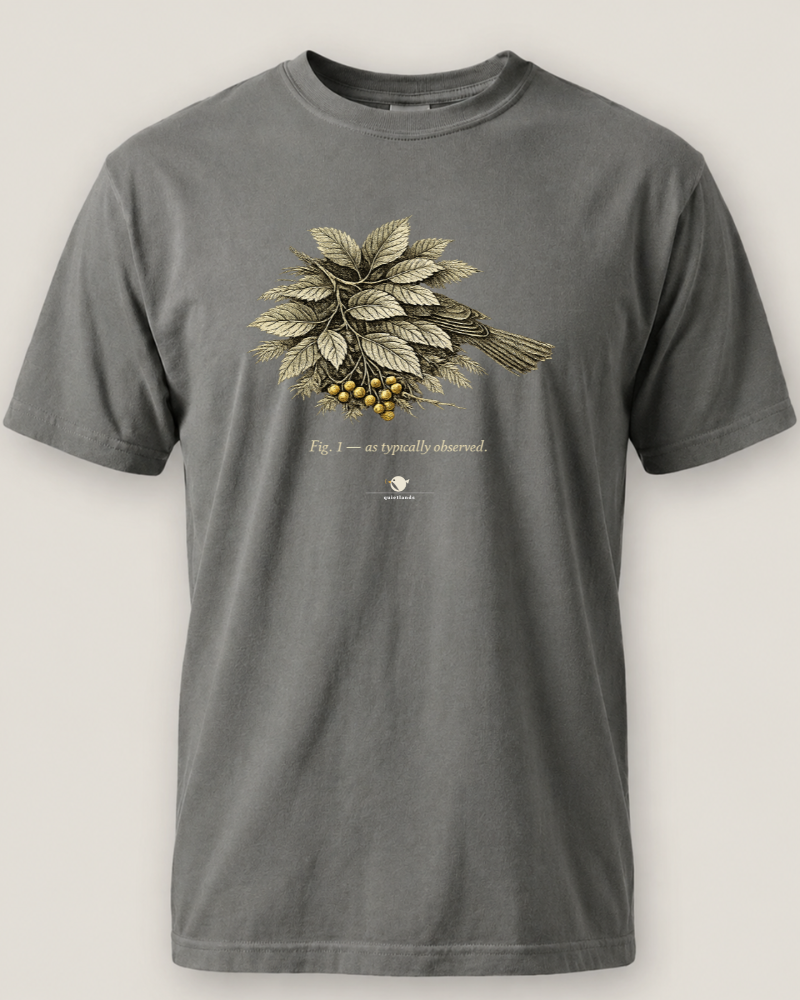 As Typically Observed Tee
