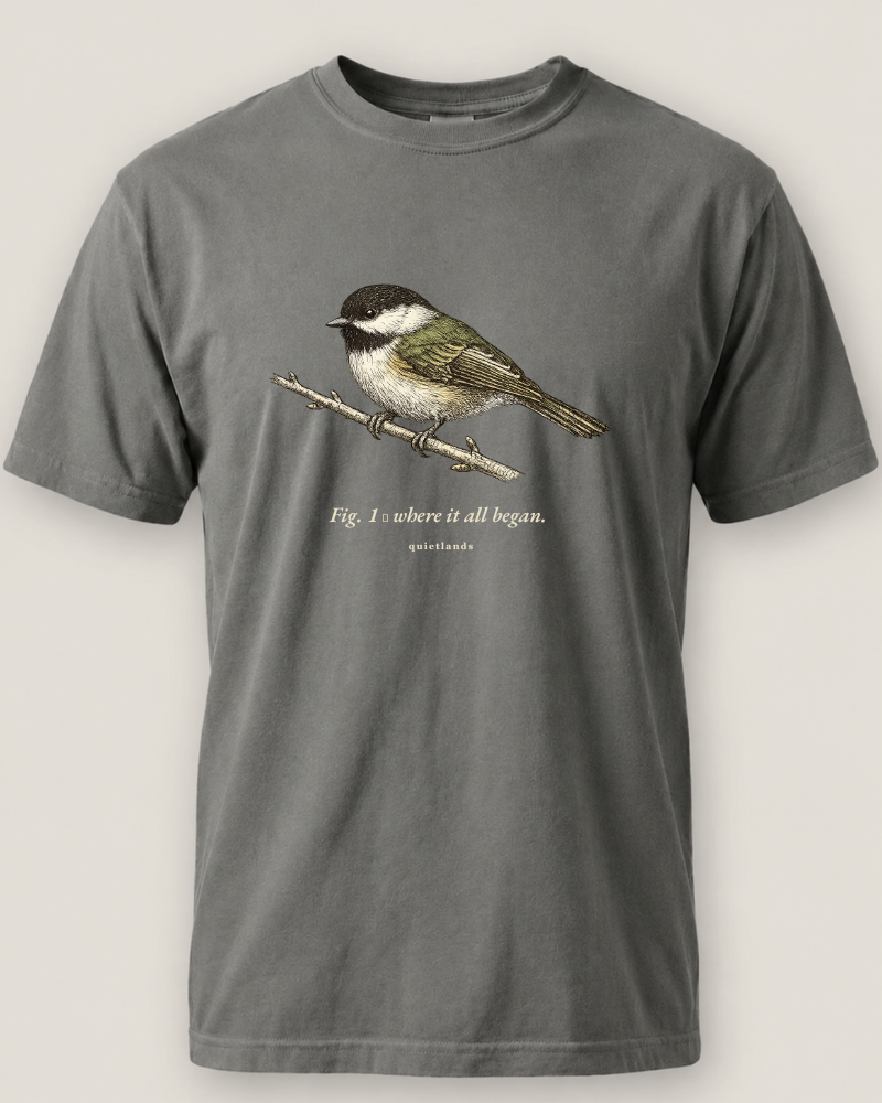 Spark Bird Chickadee Tee