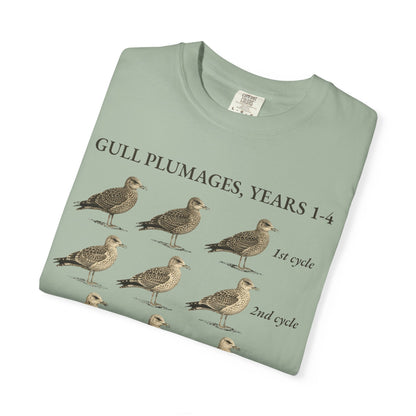 Gull Plumages Tee