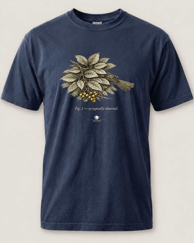 As Typically Observed Tee