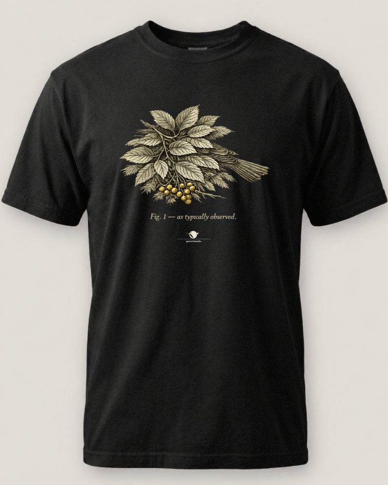 As Typically Observed Tee