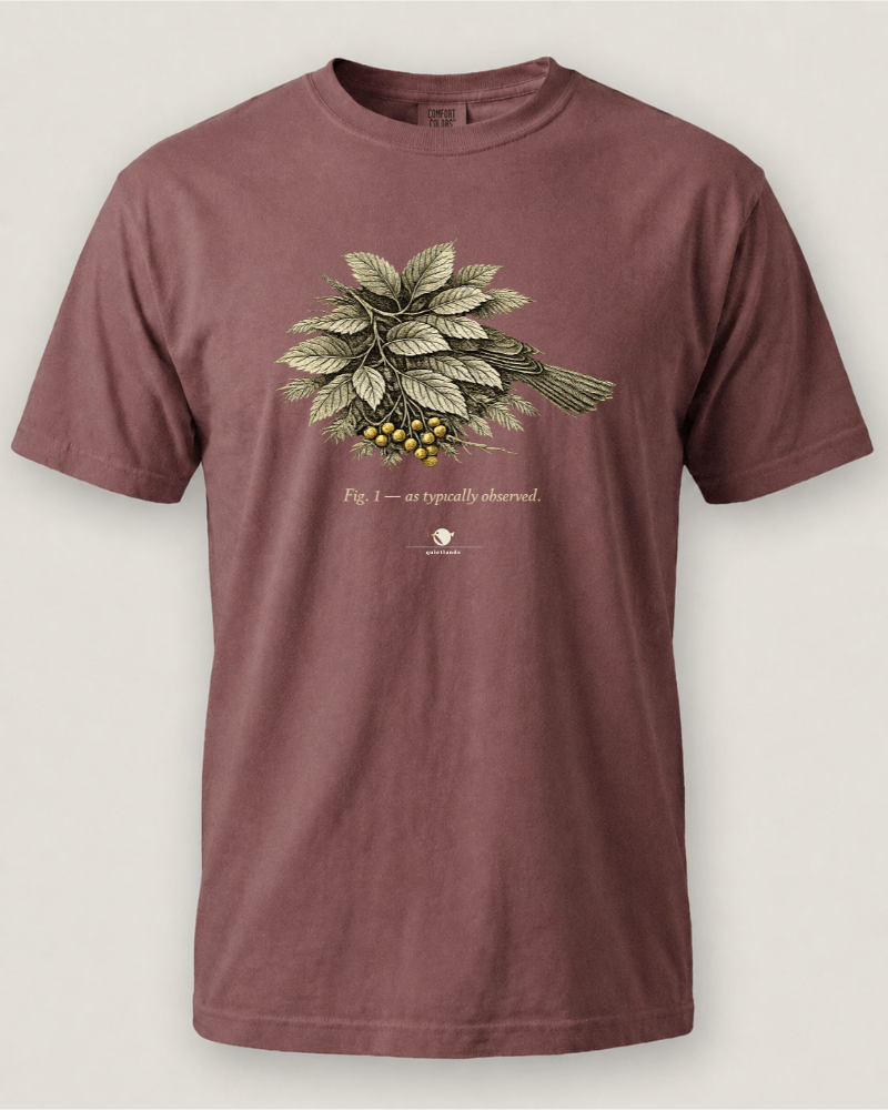 As Typically Observed Tee