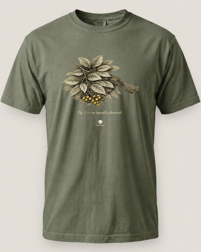As Typically Observed Tee